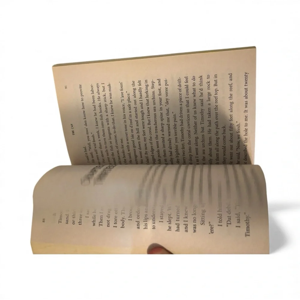 The Cay by Theodore Taylor used condition paper back